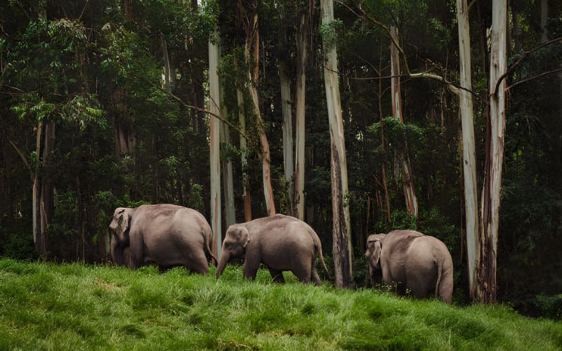 Hills, Wilds & Waterways